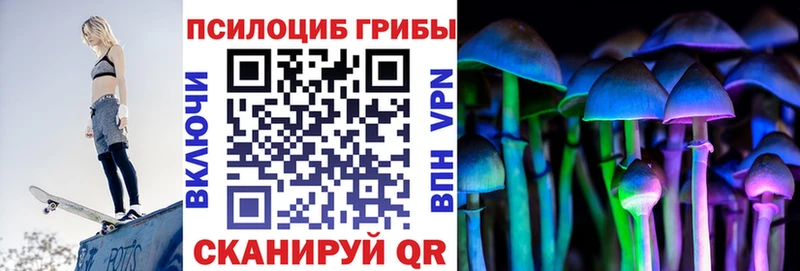 hydra tor  Черняховск  Галлюциногенные грибы прущие грибы 